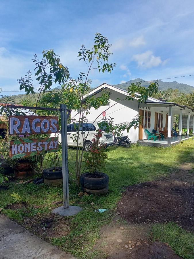 Rago'S Homestay Kelimutu Ngoại thất bức ảnh